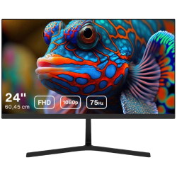 DAHUA Monitor