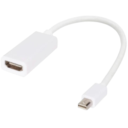 Display Adapter