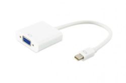 Display Adapter